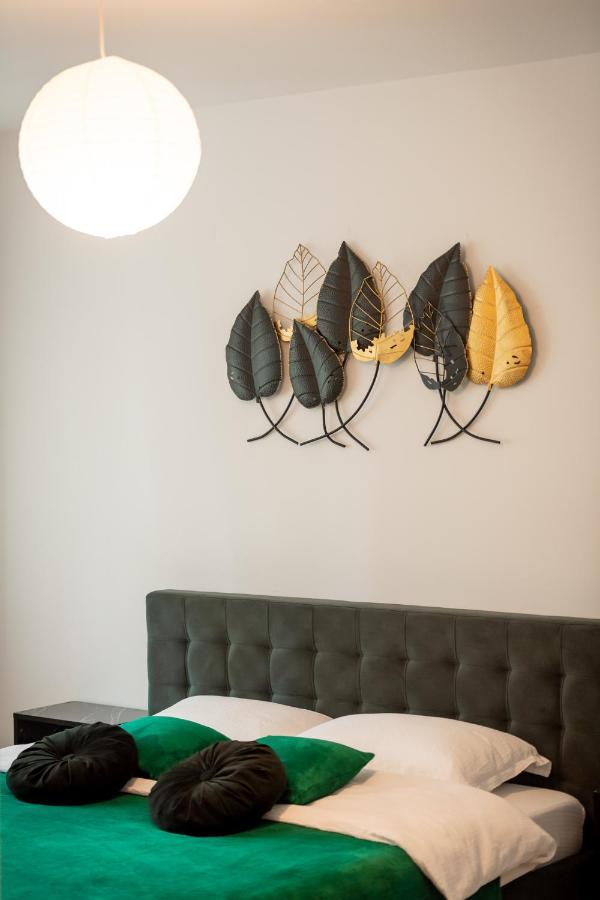 Coresi Vibe Studio Брашов Экстерьер фото